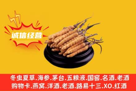 通化回收冬虫夏草